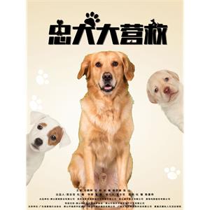 忠犬大营救--电影--中国大陆--剧情,喜剧,动作--高清