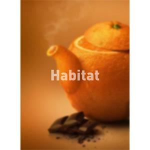 Habitat--电影--波兰,摩洛哥--记录片,短片,冒险--高清