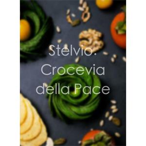 Stelvio. Crocevia della Pace--电影--意大利,德国--记录片,家庭--高清