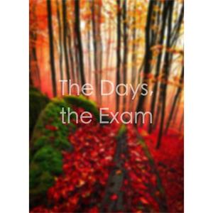 The Days, the Exam--电影--中国--记录片--高清