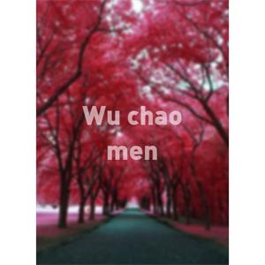 Wu chao men--电影--中国--记录片--高清