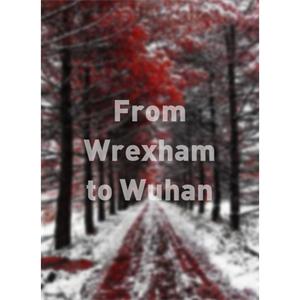 From Wrexham to Wuhan--电影--中国--记录片--高清