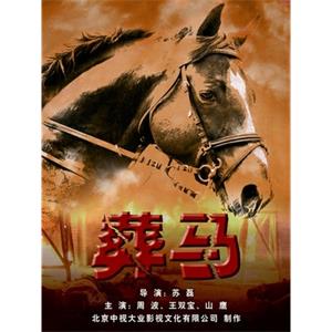 弹无虚发之葬马--电影--中国大陆--剧情,动作--高清