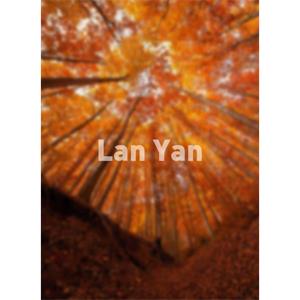 Lan Yan--电影--美国,中国--记录片,短片,剧情,家庭--高清