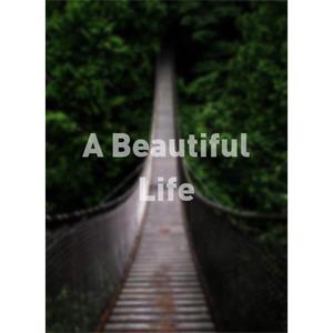 A Beautiful Life--电影--美国--剧情--高清