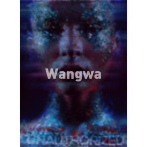 Wangwa--电影--中国大陆--剧情--高清