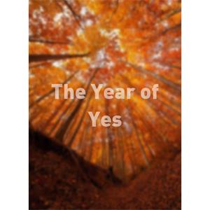 The Year of Yes--电影--2012大陆上映----高清