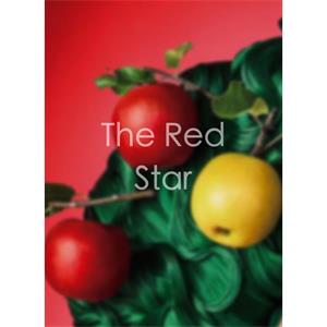 The Red Star--电影--2012大陆上映----高清