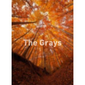 The Grays--电影--2012大陆上映----高清