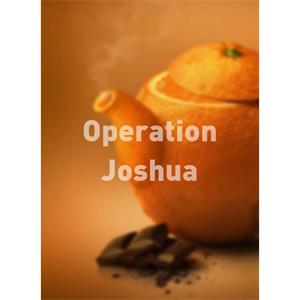 Operation Joshua--电影--2012大陆上映----高清