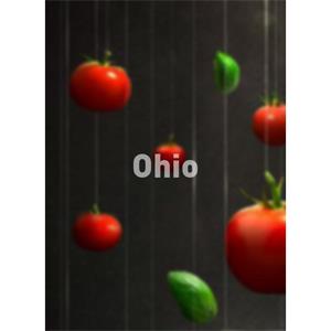 Ohio--电影--2012大陆上映----高清