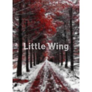 Little Wing--电影--2012大陆上映----高清