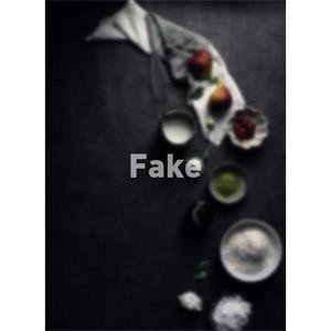 Fake--电影--2012大陆上映----高清