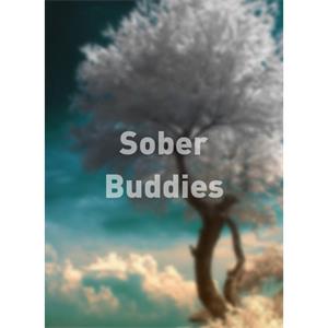 Sober Buddies--电影--2012大陆上映----高清