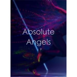 Absolute Angels--电影--2012大陆上映----高清