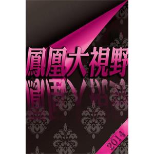 凤凰大视野 西安事变--电影--中国大陆--传记--高清