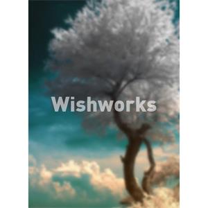 Wishworks--电影--2011大陆上映----高清