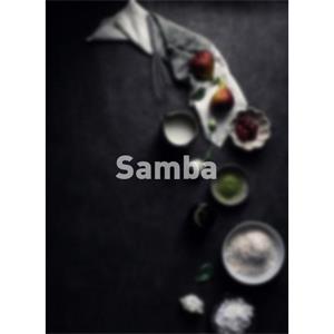 Samba--电影--2011大陆上映----高清