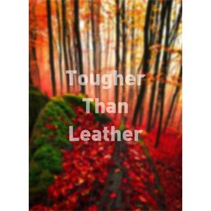 Tougher Than Leather--电影--2011大陆上映----高清