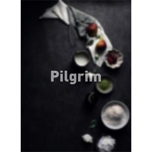 Pilgrim--电影--2011大陆上映----高清