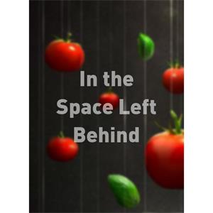 In the Space Left Behind--电影--2011大陆上映----高清