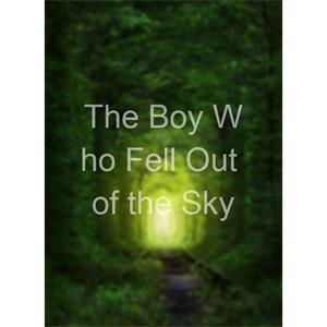 The Boy Who Fell Out of the Sky--电影--2011大陆上映----高清