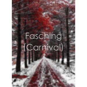 Fasching (Carnival)--电影--2011大陆上映----高清