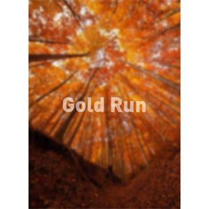 Gold Run--电影--2011大陆上映----高清