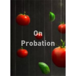 On Probation--电影--2011大陆上映----高清