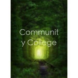 Community College--电影--2011大陆上映----高清