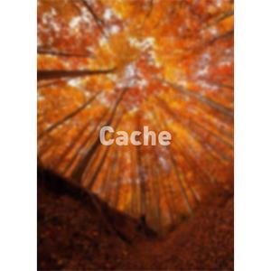 Cache--电影--2011大陆上映----高清