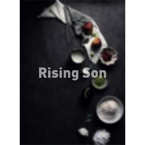 Rising Son--电影--2011大陆上映----高清