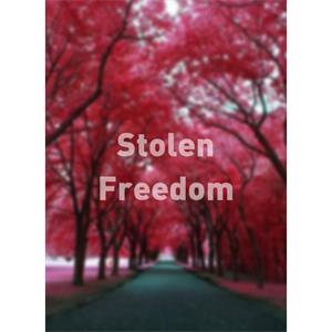 Stolen Freedom--电影--2011大陆上映----高清