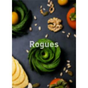 Rogues--电影--2011大陆上映----高清