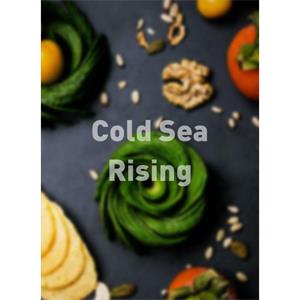 Cold Sea Rising--电影--2011大陆上映----高清