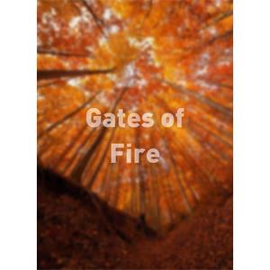 Gates of Fire--电影--2011大陆上映----高清