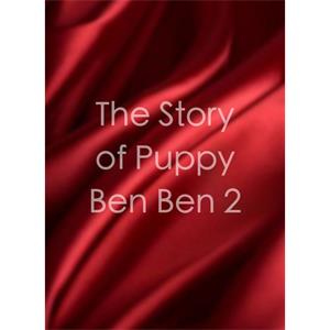 The Story of Puppy Ben Ben 2--电影--中国--剧情--高清