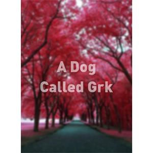 A Dog Called Grk--电影--2011大陆上映----高清