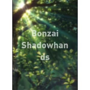 Bonzai Shadowhands--电影--2011大陆上映----高清