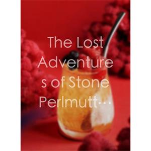 The Lost Adventures of Stone Perlmutter Jr.--电影--2011大陆上映----高清