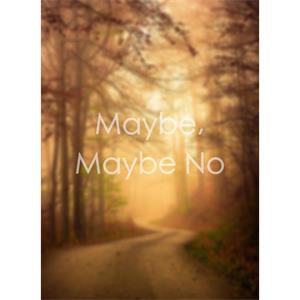 Maybe, Maybe No--电影--2011大陆上映----高清