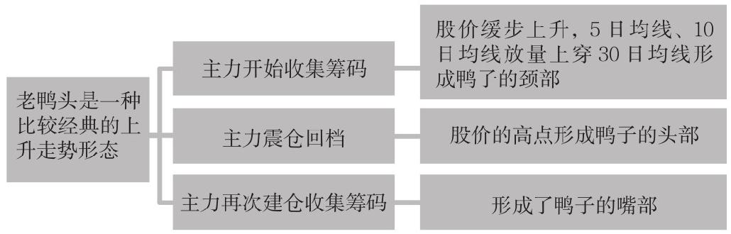 8.7 千金难得老鸭头