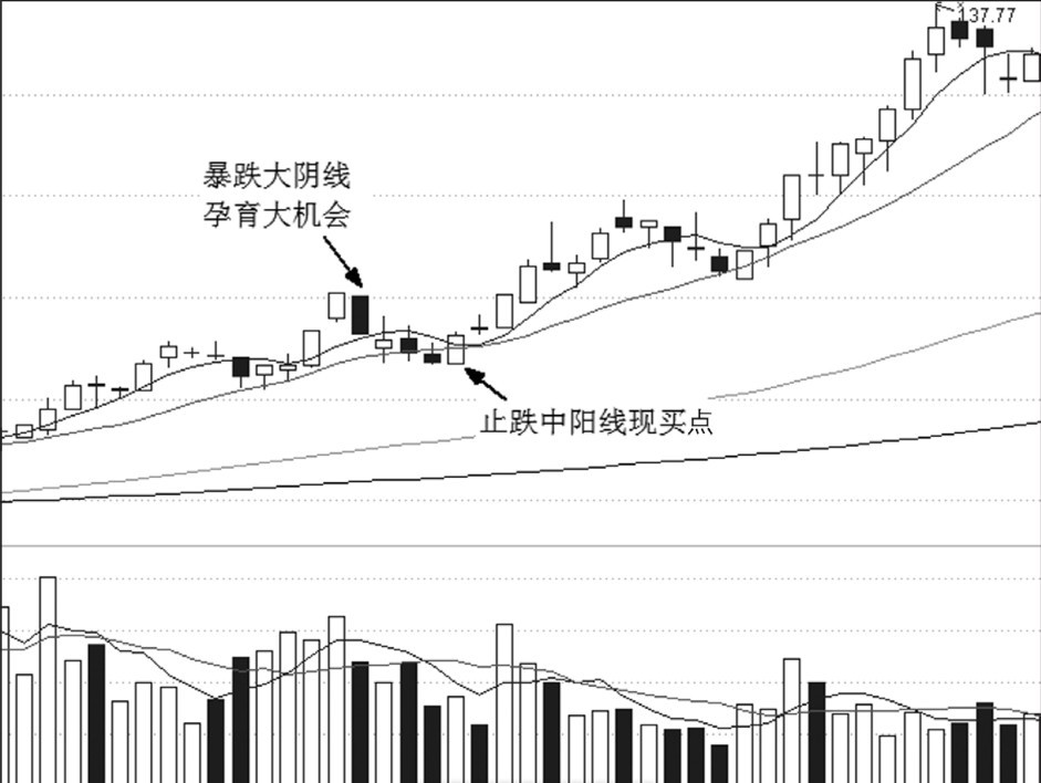 第15章 阴阳柱定买点