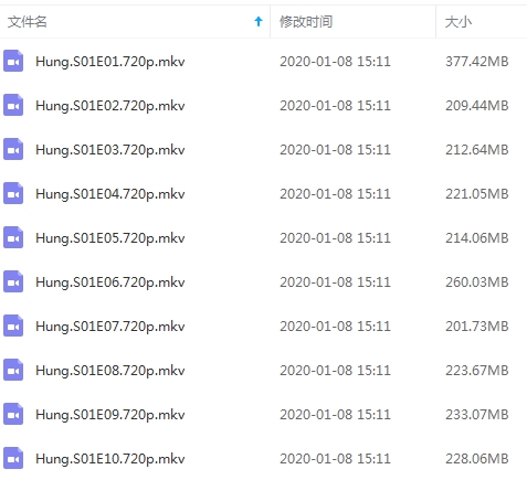 美剧《大器晚成(Hung)》全三季30集高清英语中字[MKV/6.77GB]百度云网盘下载