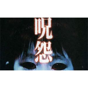 恐怖电影《咒怨》13部(2003-2020)合集高清英语/日语中字[MKV/MP4/19.55GB]百度云网盘下载