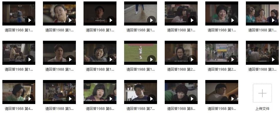 高分韩剧《请回答1988》超清20集韩语中文字幕百度云网盘下载