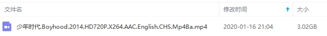 美国电影《少年时代》(Boyhood)英语中文字幕(MP4/3.02GB)百度云网盘下载