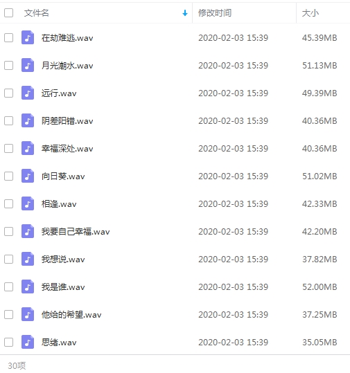 叶蓓无损歌曲精选30首[WAV/1.23GB]百度云网盘下载