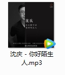 沈庆单曲《你好陌生人》[MP3/7.70MB]百度云网盘下载