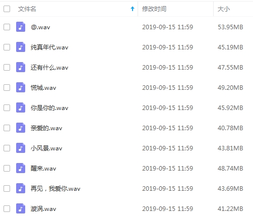 丁薇歌曲无损精选10首[WAV/460.06MB]百度云网盘下载